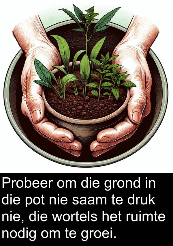 druk: Probeer om die grond in die pot nie saam te druk nie, die wortels het ruimte nodig om te groei.