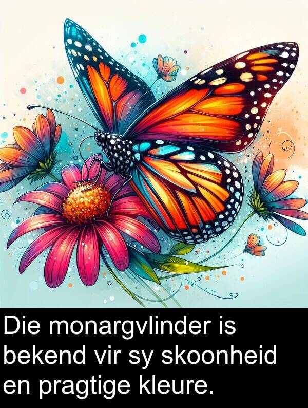bekend: Die monargvlinder is bekend vir sy skoonheid en pragtige kleure.