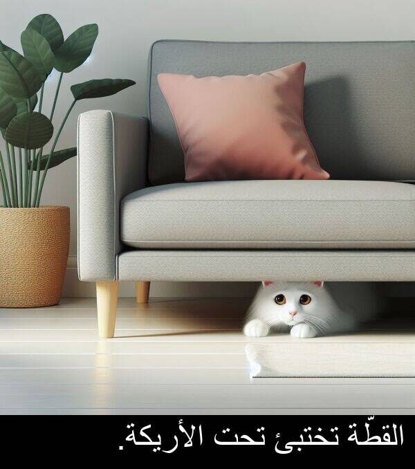 تحت: القطّة تختبئ تحت الأريكة.