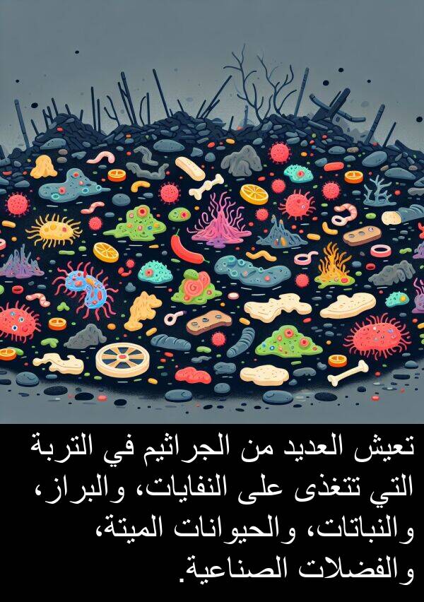 والبراز،: تعيش العديد من الجراثيم في التربة التي تتغذى على النفايات، والبراز، والنباتات، والحيوانات الميتة، والفضلات الصناعية.