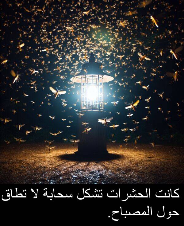 سحابة: كانت الحشرات تشكل سحابة لا تطاق حول المصباح.