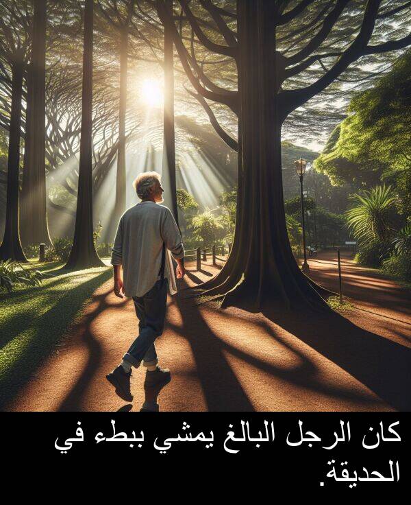البالغ: كان الرجل البالغ يمشي ببطء في الحديقة.