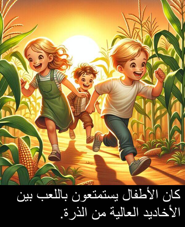 الأخاديد: كان الأطفال يستمتعون باللعب بين الأخاديد العالية من الذرة.