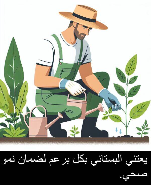 يعتني: يعتني البستاني بكل برعم لضمان نمو صحي.