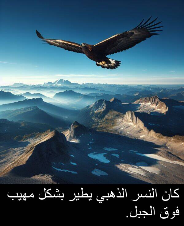 يطير: كان النسر الذهبي يطير بشكل مهيب فوق الجبل.