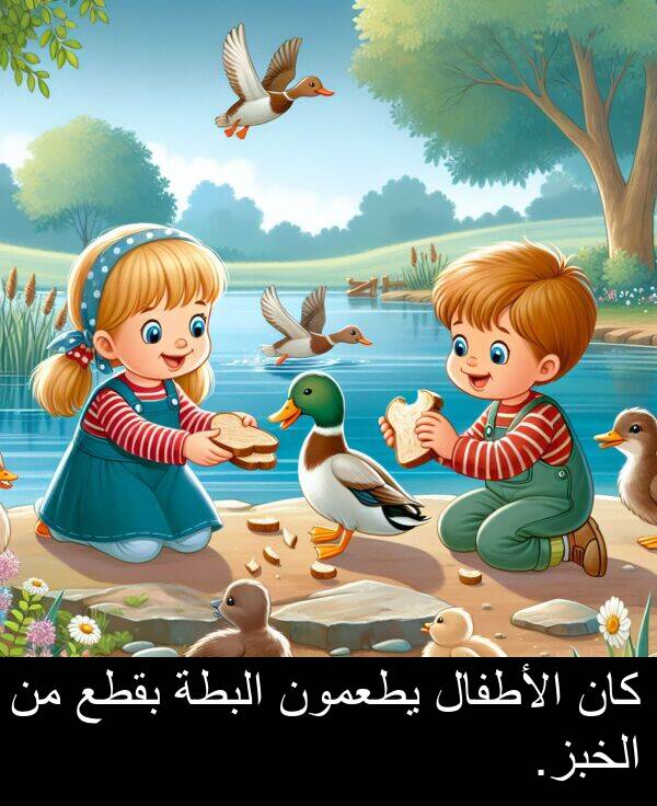 يطعمون: كان الأطفال يطعمون البطة بقطع من الخبز.