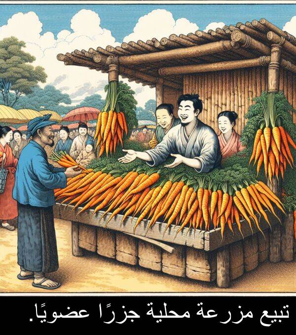 عضويًا: تبيع مزرعة محلية جزرًا عضويًا.