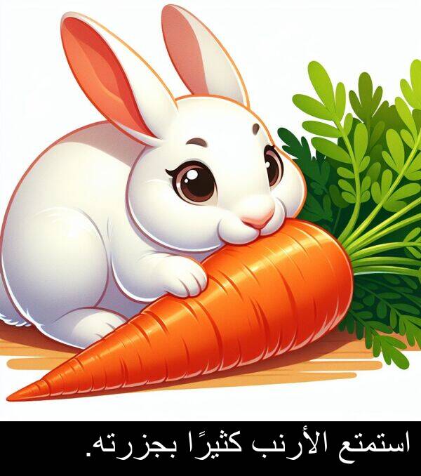كثيرًا: استمتع الأرنب كثيرًا بجزرته.