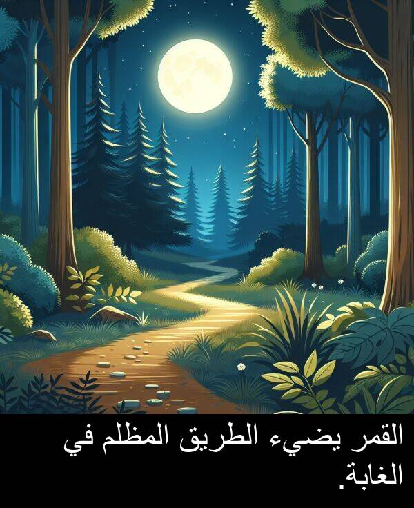 يضيء: القمر يضيء الطريق المظلم في الغابة.