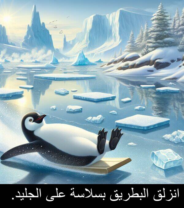 البطريق: انزلق البطريق بسلاسة على الجليد.