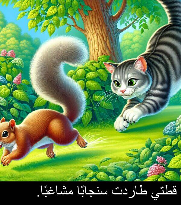 طاردت: قطتي طاردت سنجابًا مشاغبًا.