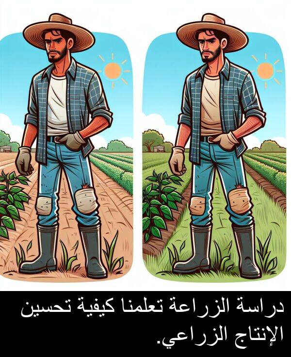 دراسة: دراسة الزراعة تعلمنا كيفية تحسين الإنتاج الزراعي.