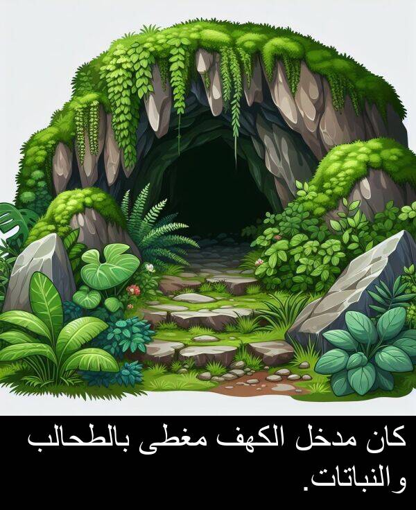 بالطحالب: كان مدخل الكهف مغطى بالطحالب والنباتات.