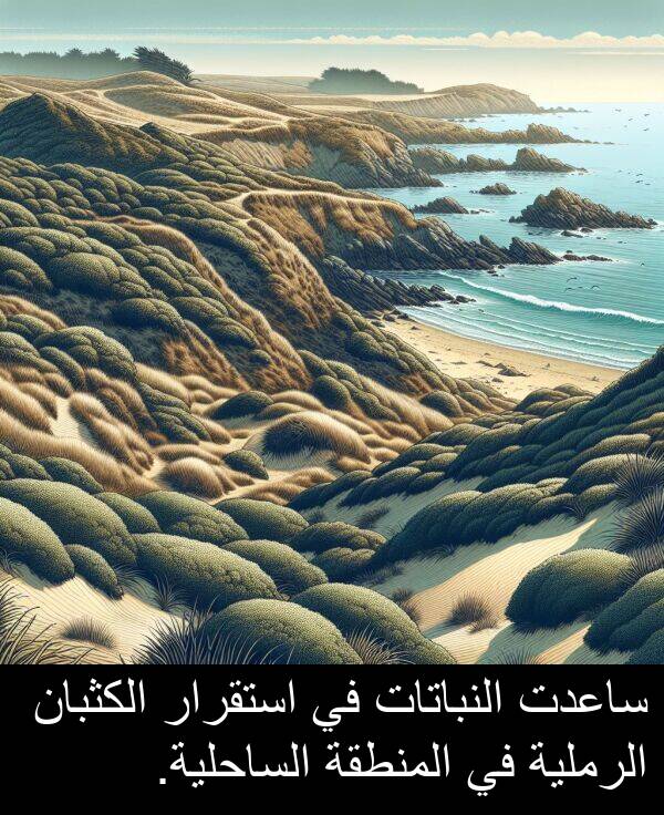 ساعدت: ساعدت النباتات في استقرار الكثبان الرملية في المنطقة الساحلية.