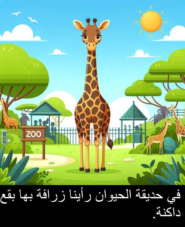 داكنة: في حديقة الحيوان رأينا زرافة بها بقع داكنة.