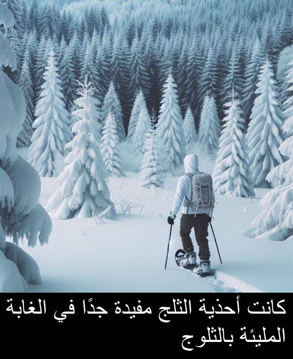 بالثلوج: كانت أحذية الثلج مفيدة جدًا في الغابة المليئة بالثلوج