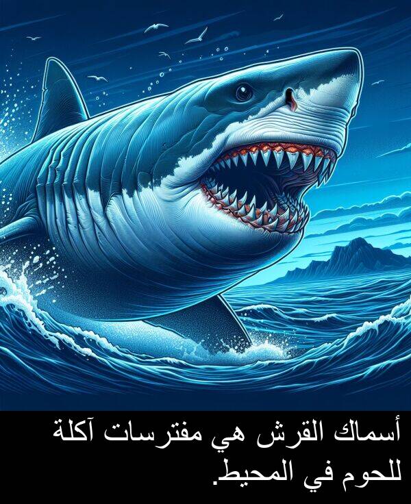 آكلة: أسماك القرش هي مفترسات آكلة للحوم في المحيط.