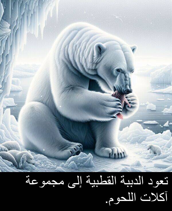 اللحوم: تعود الدببة القطبية إلى مجموعة آكلات اللحوم.