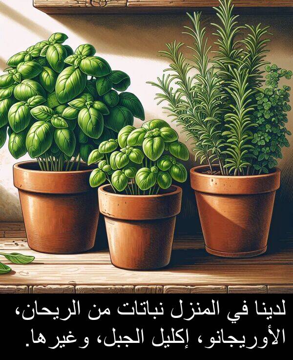 لدينا: لدينا في المنزل نباتات من الريحان، الأوريجانو، إكليل الجبل، وغيرها.