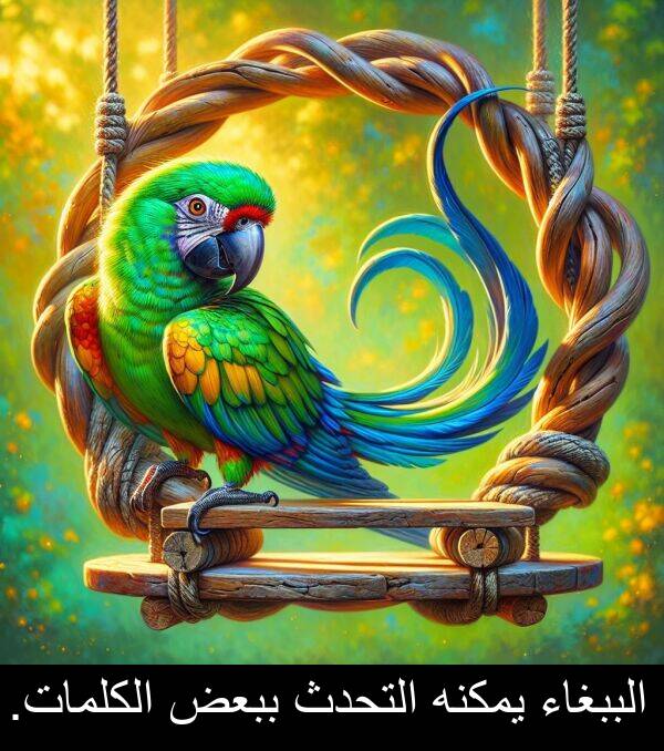 الببغاء: الببغاء يمكنه التحدث ببعض الكلمات.