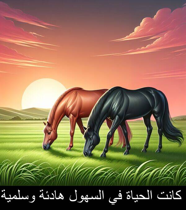 هادئة: كانت الحياة في السهول هادئة وسلمية.