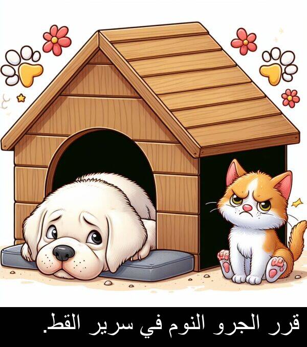 قرر: قرر الجرو النوم في سرير القط.