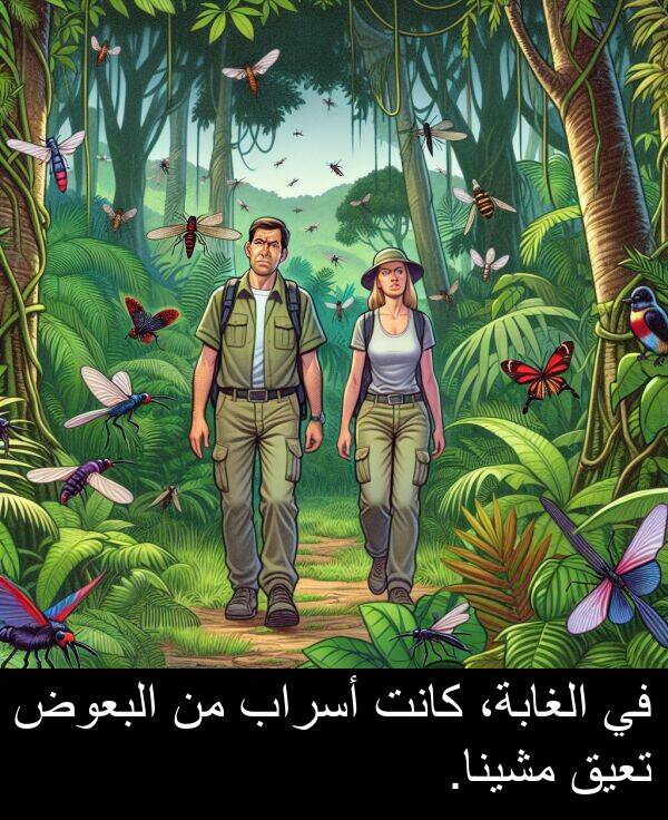 البعوض: في الغابة، كانت أسراب من البعوض تعيق مشينا.