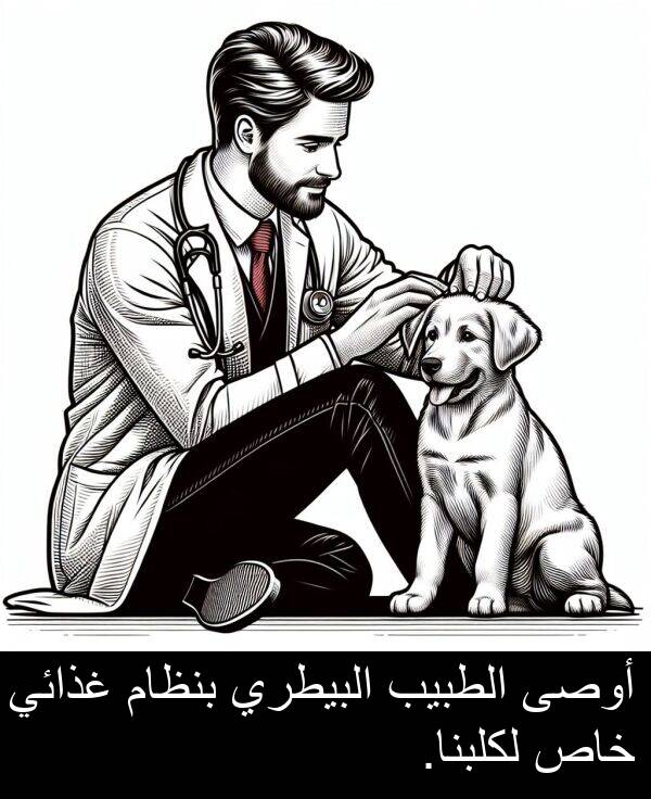 غذائي: أوصى الطبيب البيطري بنظام غذائي خاص لكلبنا.