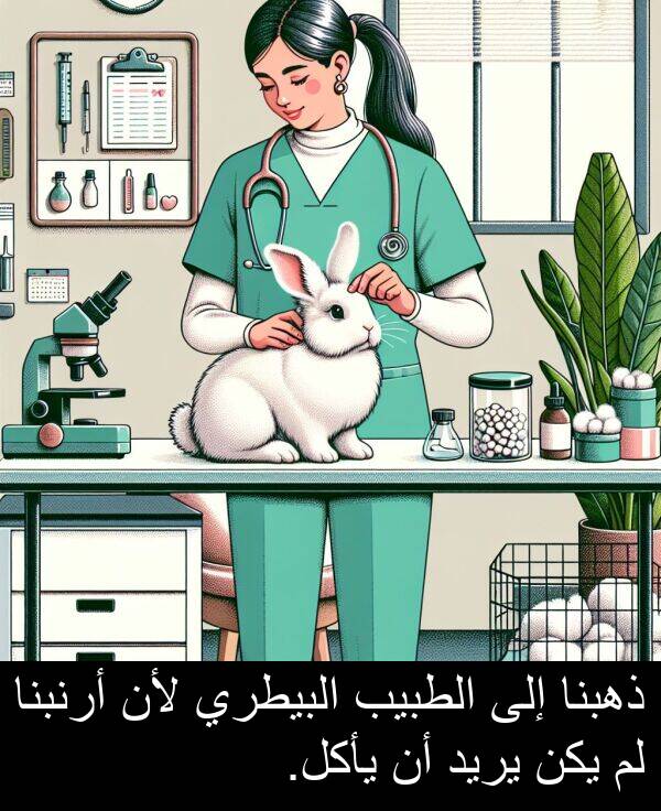يأكل: ذهبنا إلى الطبيب البيطري لأن أرنبنا لم يكن يريد أن يأكل.