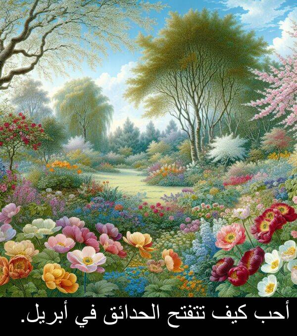 كيف: أحب كيف تتفتح الحدائق في أبريل.