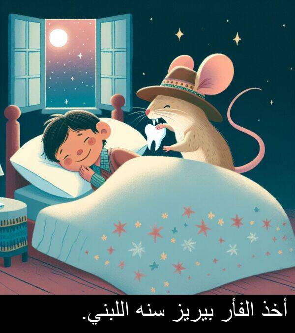 أخذ: أخذ الفأر بيريز سنه اللبني.