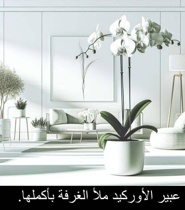 عبير: عبير الأوركيد ملأ الغرفة بأكملها.