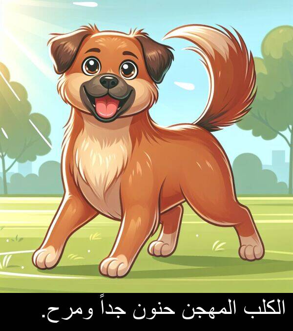 جداً: الكلب المهجن حنون جداً ومرح.