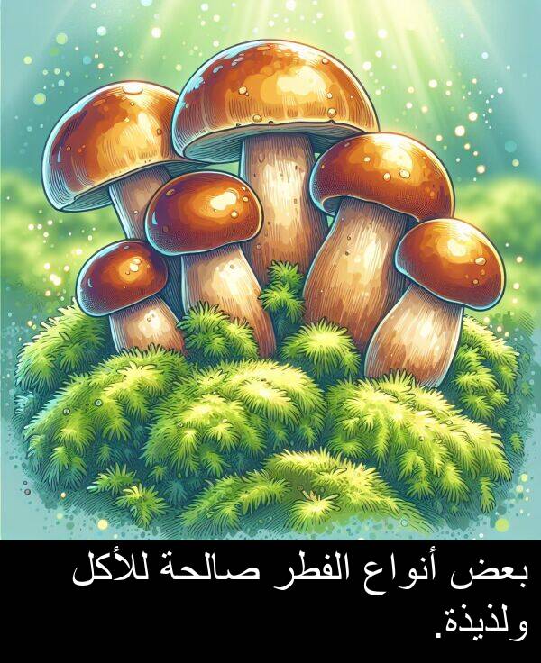 صالحة: بعض أنواع الفطر صالحة للأكل ولذيذة.