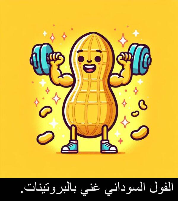 غني: الفول السوداني غني بالبروتينات.
