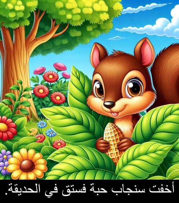 الحديقة: أخفت سنجاب حبة فستق في الحديقة.