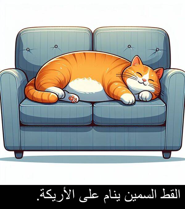 القط: القط السمين ينام على الأريكة.