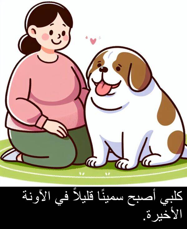 كلبي: كلبي أصبح سمينًا قليلاً في الآونة الأخيرة.