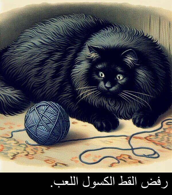 رفض: رفض القط الكسول اللعب.