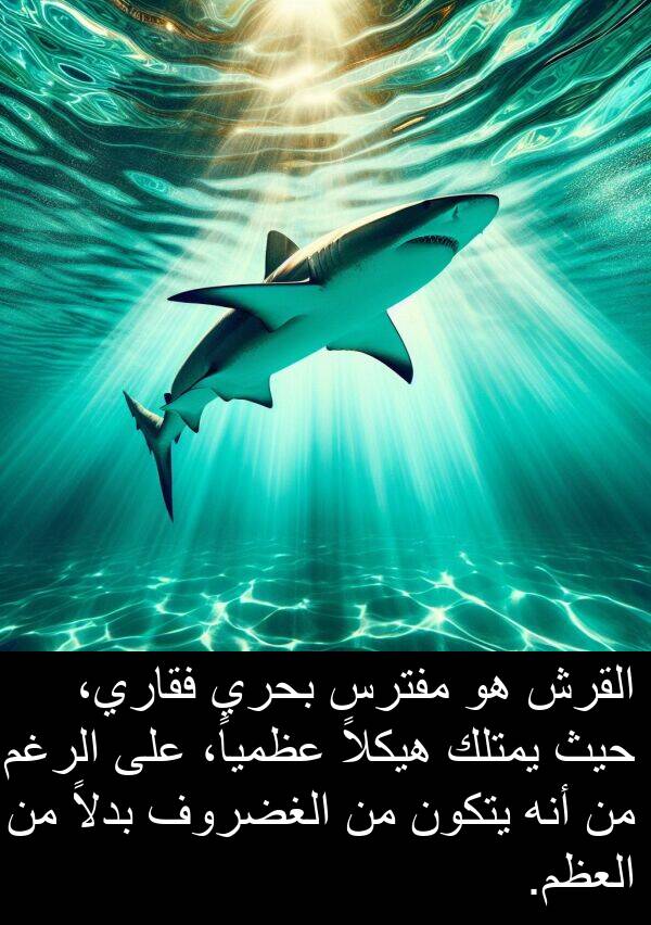 يتكون: القرش هو مفترس بحري فقاري، حيث يمتلك هيكلاً عظمياً، على الرغم من أنه يتكون من الغضروف بدلاً من العظم.
