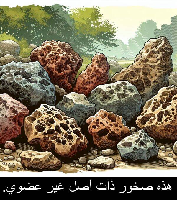 ذات: هذه صخور ذات أصل غير عضوي.