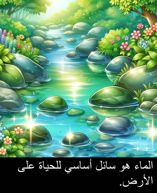 أساسي: الماء هو سائل أساسي للحياة على الأرض.