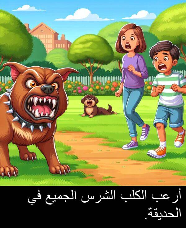 أرعب: أرعب الكلب الشرس الجميع في الحديقة.