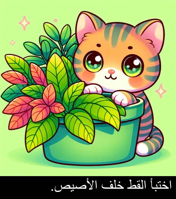 خلف: اختبأ القط خلف الأصيص.
