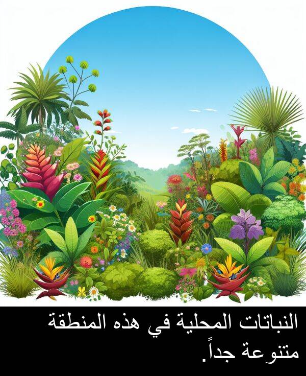 هذه: النباتات المحلية في هذه المنطقة متنوعة جداً.