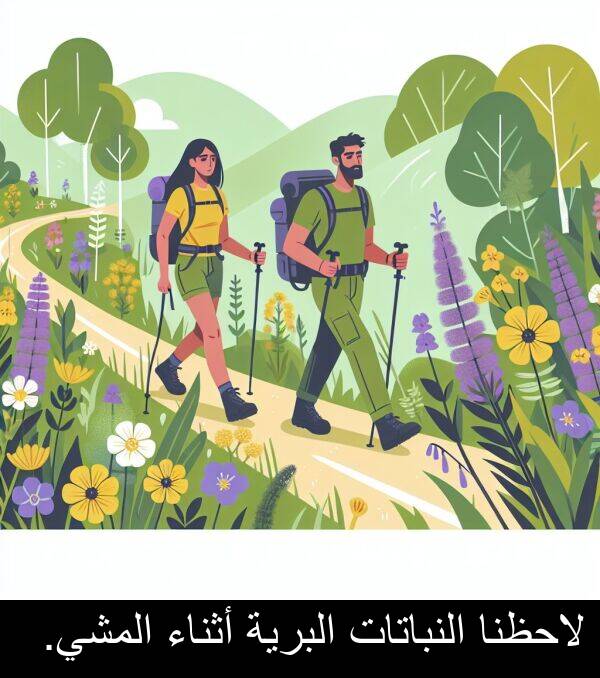 لاحظنا: لاحظنا النباتات البرية أثناء المشي.
