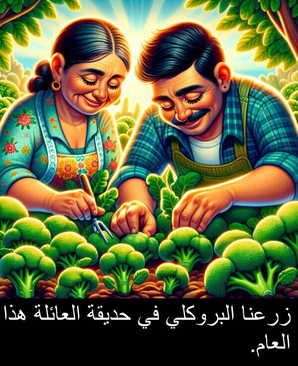 هذا: زرعنا البروكلي في حديقة العائلة هذا العام.