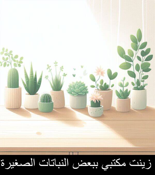 زينت: زينت مكتبي ببعض النباتات الصغيرة.