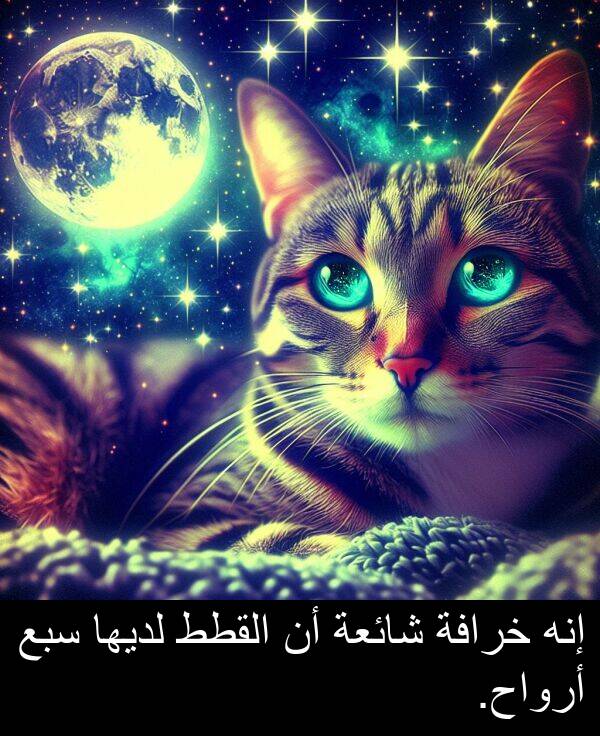 إنه: إنه خرافة شائعة أن القطط لديها سبع أرواح.
