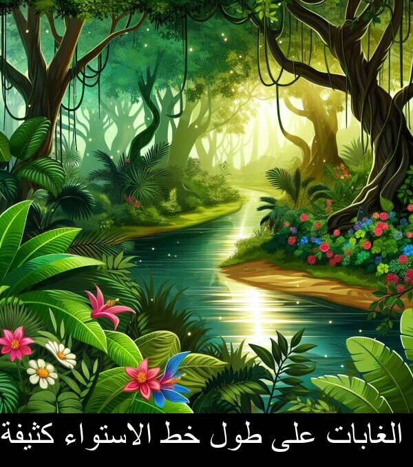 طول: الغابات على طول خط الاستواء كثيفة.